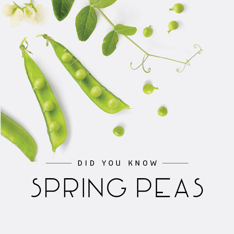 Did you know? Spring Peas